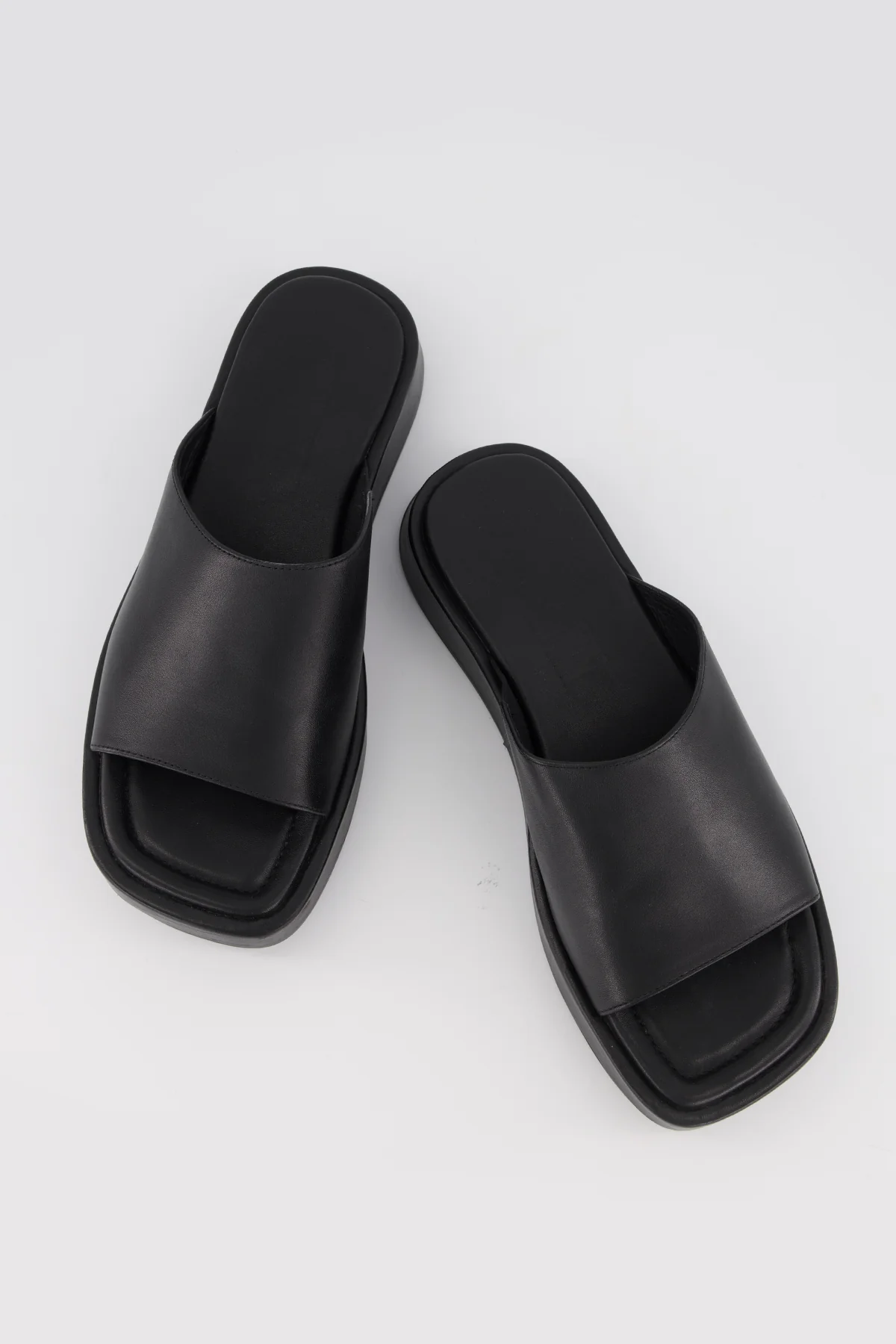 Josephine - Image 11