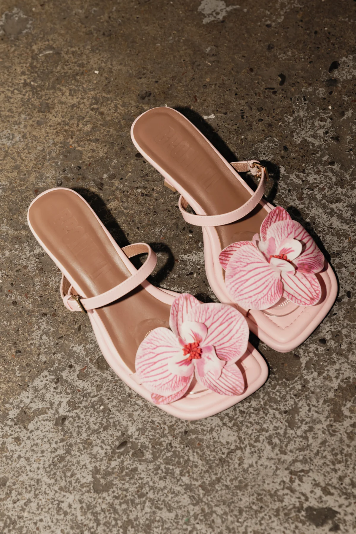 Lou Lou Orchid - Image 10