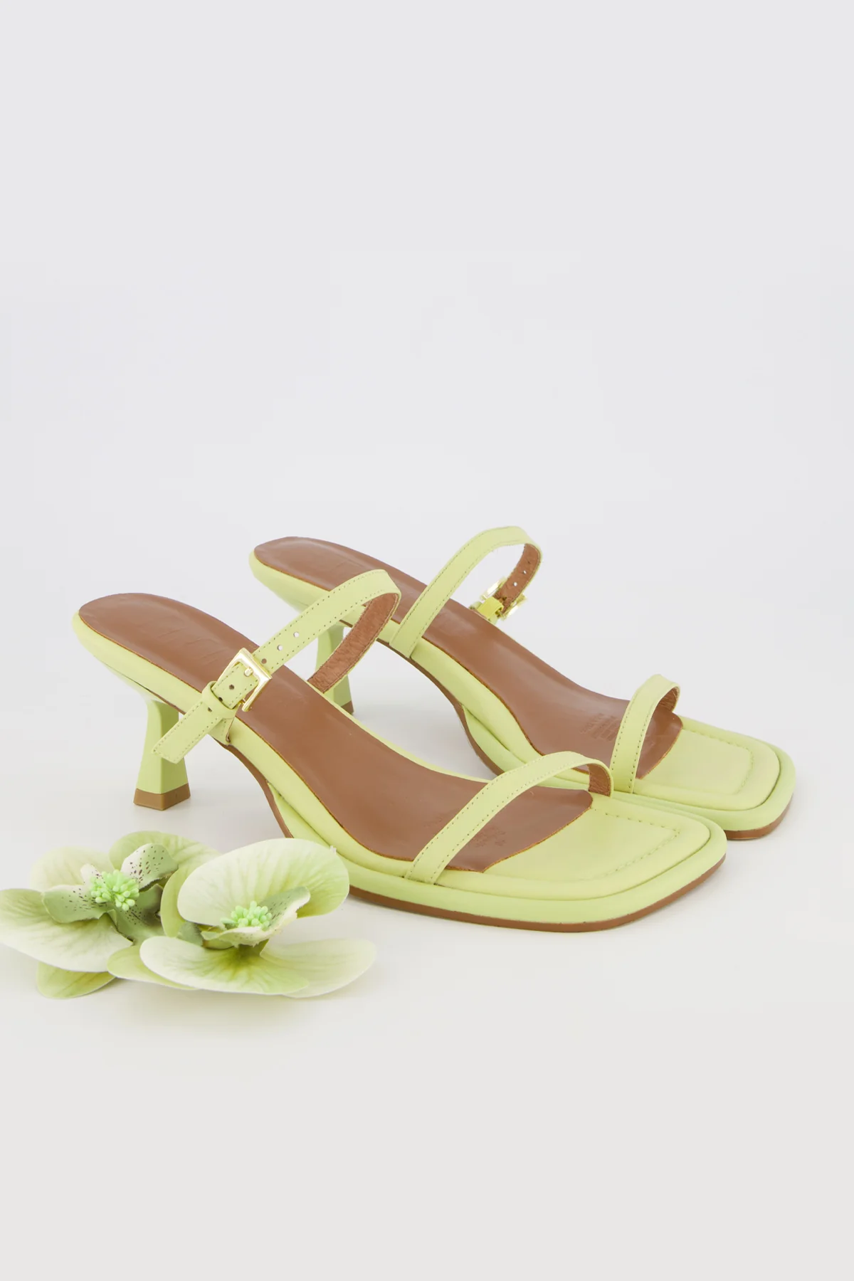 Lou Lou Orchid - Image 12