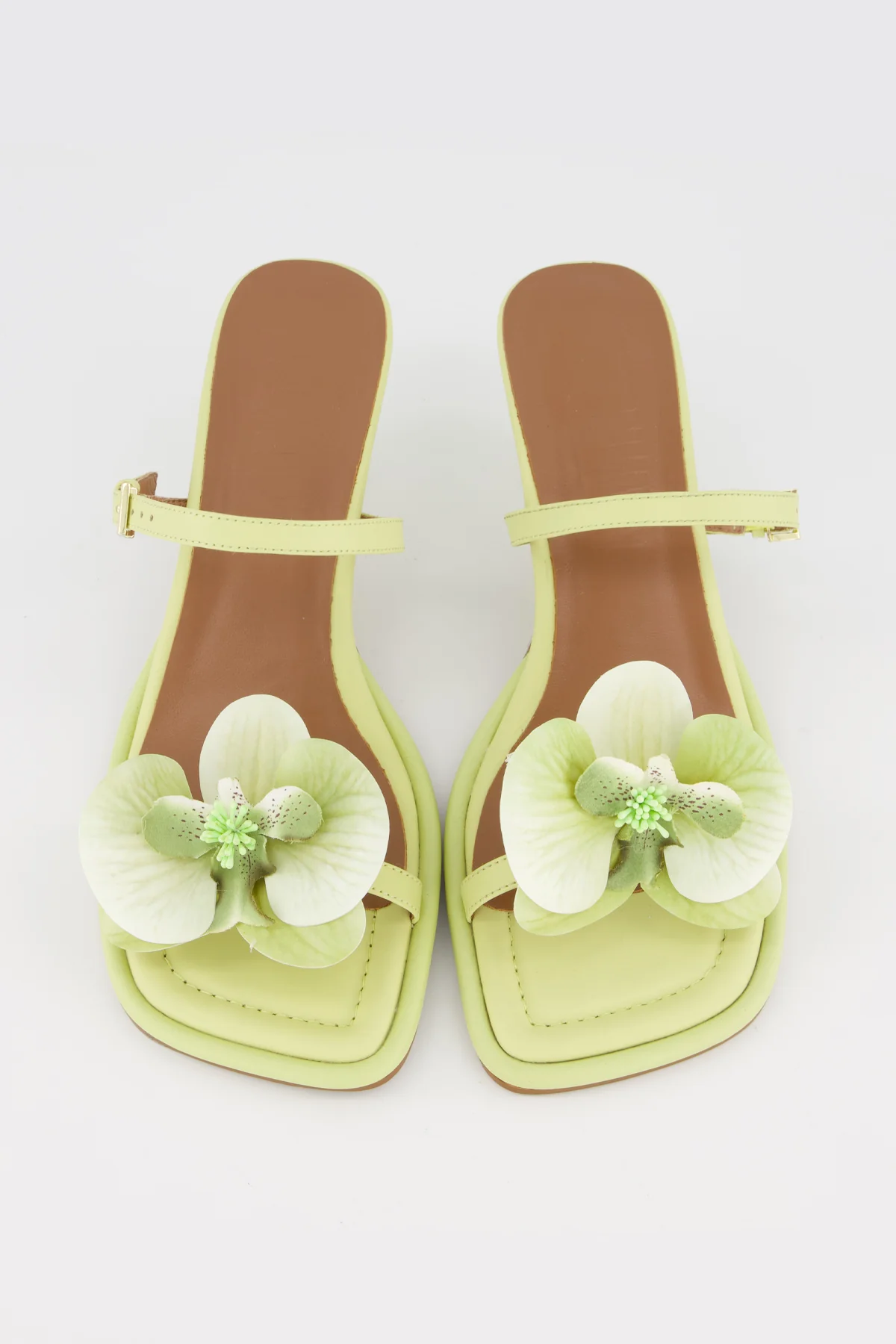 Lou Lou Orchid - Image 15