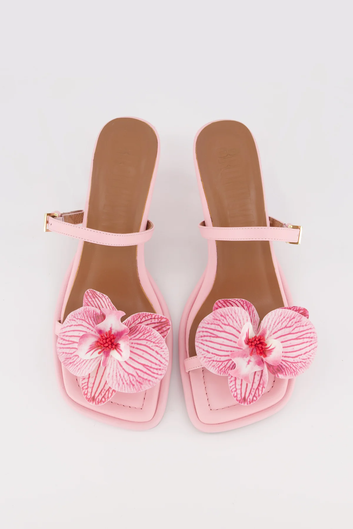 Lou Lou Orchid - Image 6