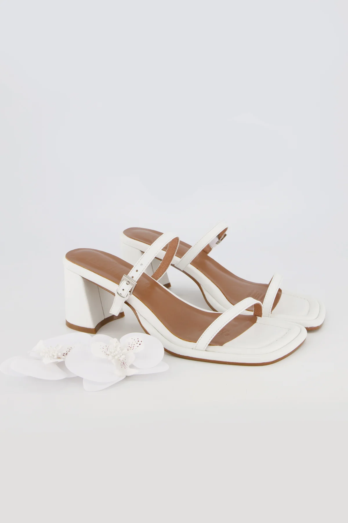 Lucia Orchid - Image 3