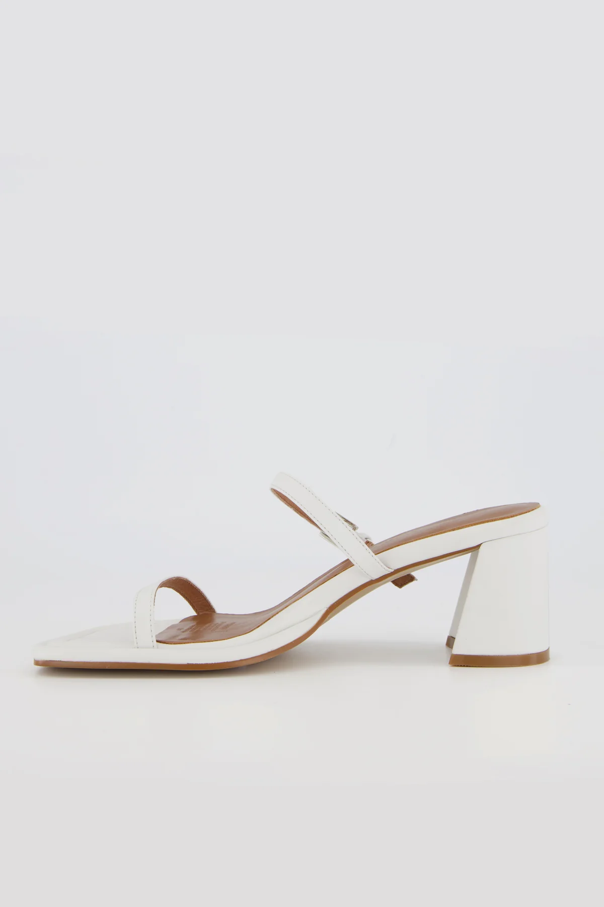 Lucia Orchid - Image 5