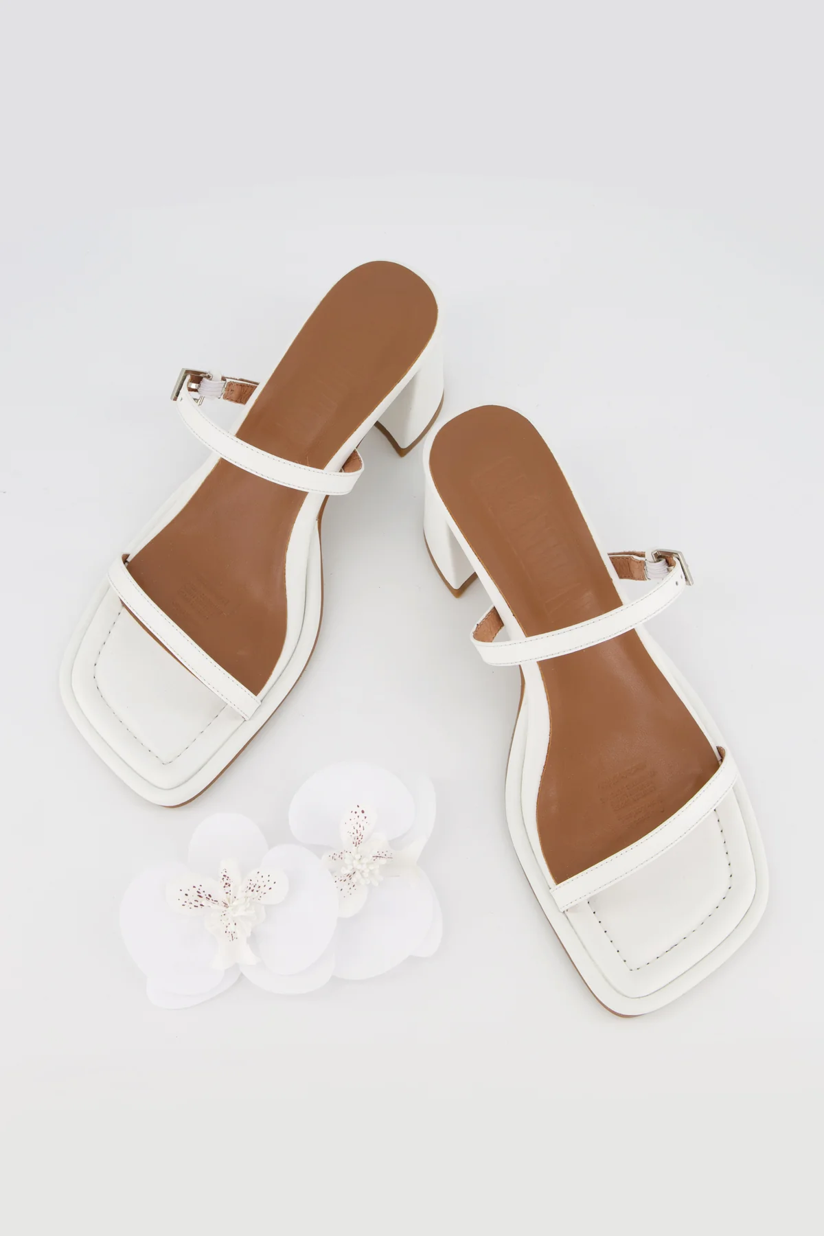 Lucia Orchid - Image 8