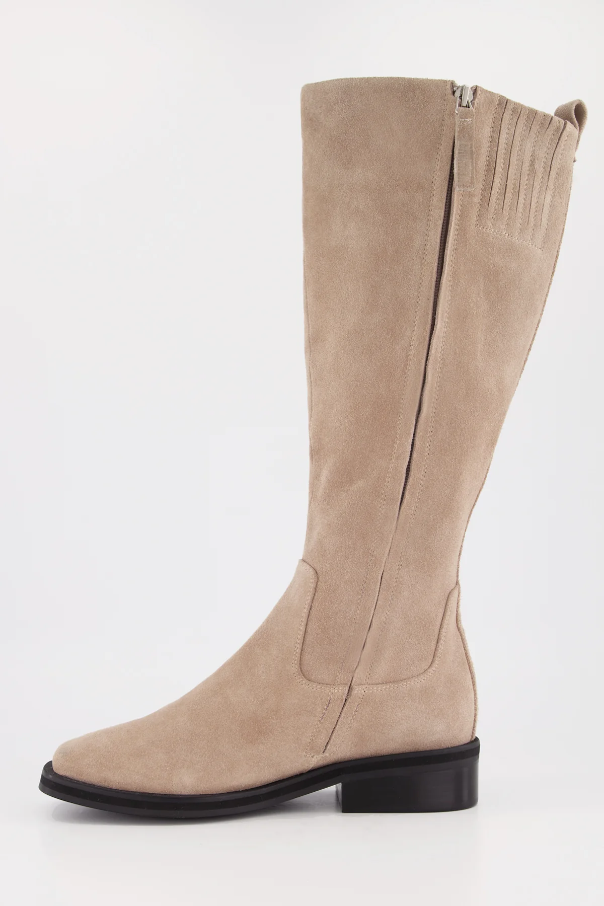 Valentina Archive - Image 3